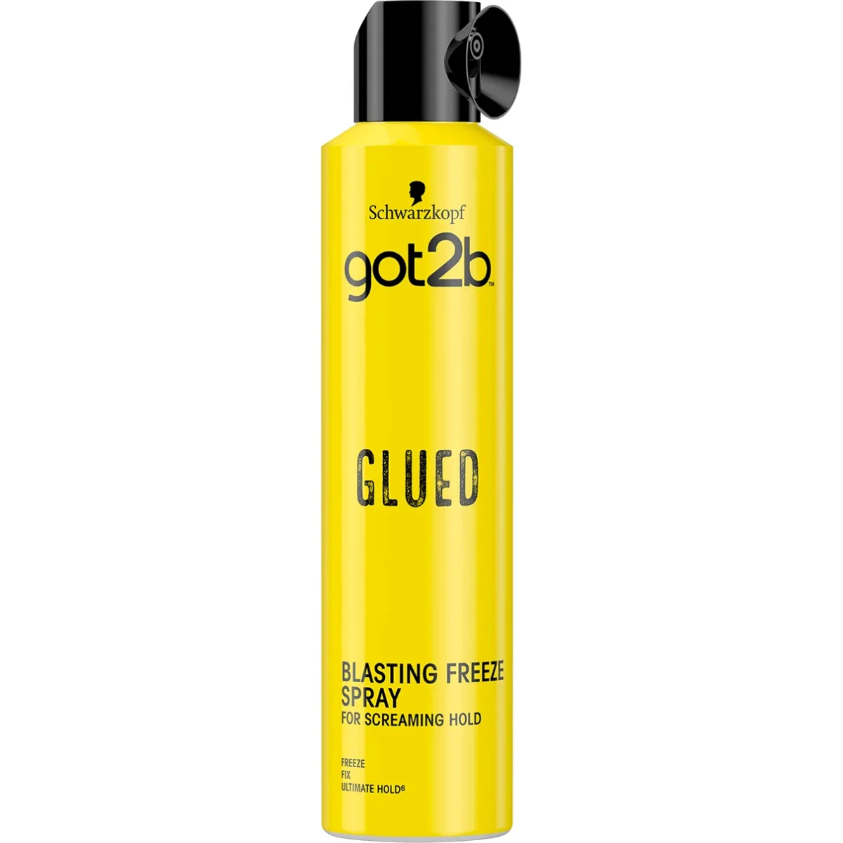 GOT2B SCHWARZKOPF ≡ Spray Collant et Fixant - Saldi Straordinari – Offerte Speciali Disponibili Adesso Collant Opaque Intense 50D - Excellence Noir - Collants et mi-bas tricotés  en France - Bleuforêt