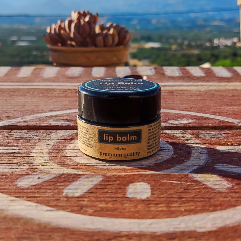 Φυσικό Lip Balm Μέντα Saldi Straordinari Offerte Speciali Disponibili Adesso