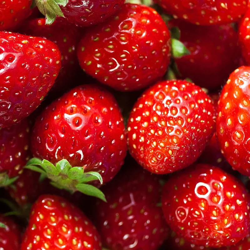 Fragrance Strawberry mls Saldi Straordinari Offerte Speciali Disponibili Adesso