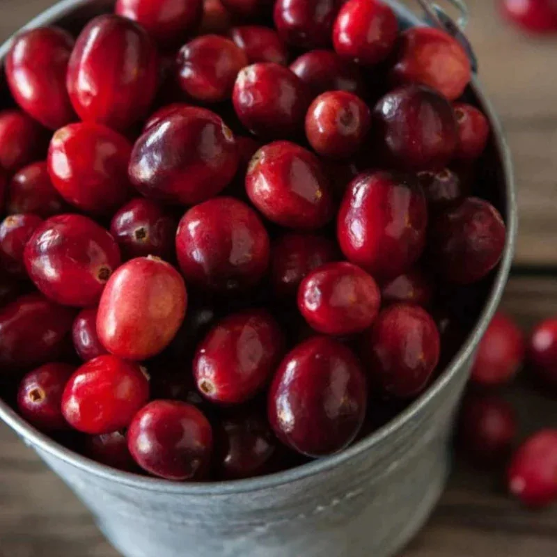 Fragrance Cranberry mls Saldi Straordinari Offerte Speciali Disponibili Adesso