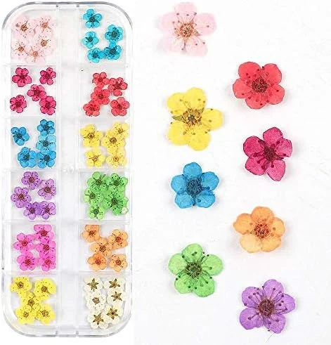 Ongles fleurs « Lot 60 Fleurs 3D Séchées – Déco Ongles Nail Art avec Gel UV Acrylique – 12 Couleurs Naturelles par CHANGAR » - ​Boulangerie-Pâtisserie | Pain au Levain & Viennoiseries​ - {'count': 1, 'name': 'Luxembourg'}