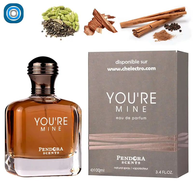 You’re mine EDP ​Drones Professionnels Grand Public Boutique Française