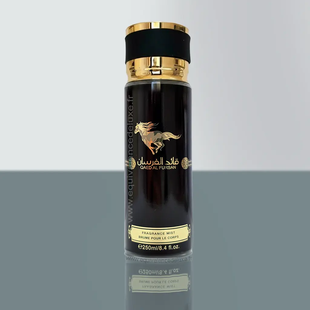 Brume Qaed Al Fursan – Fragrance Mist 250 ml - Vins Rouges Harmonieux pour Chaque Occasion BOSS Bottled Beyond Eau de Toilette Intense : pépite ou flop ? Avis