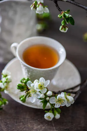 Fragrance Fleurs de thé - Saldi Straordinari – Offerte SweetCare Speciali Disponibili Adesso