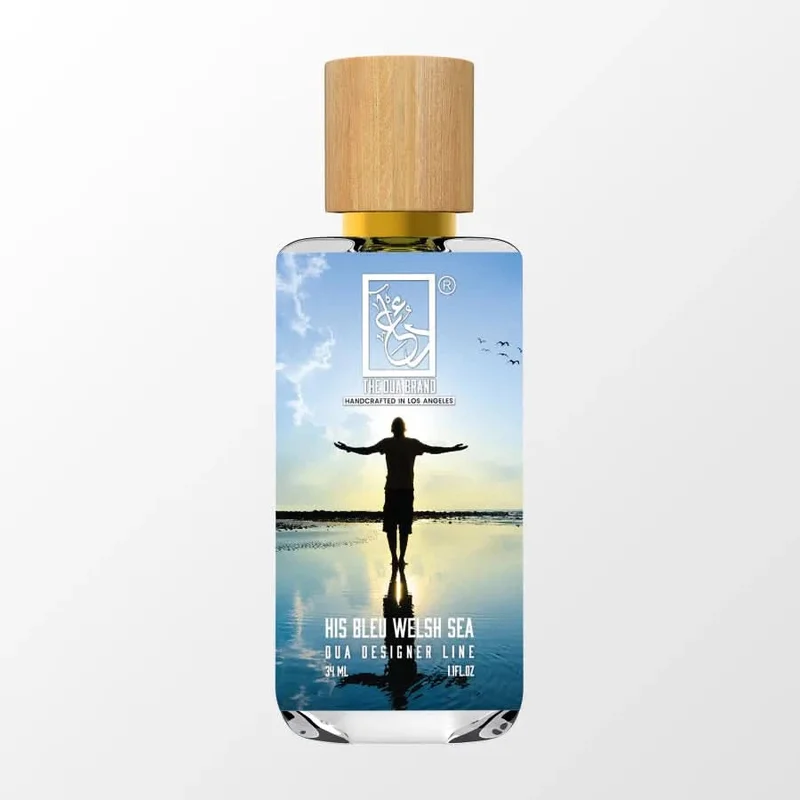 His Bleu Welsh Sea Saldi Straordinari Offerte Speciali Disponibili Adesso