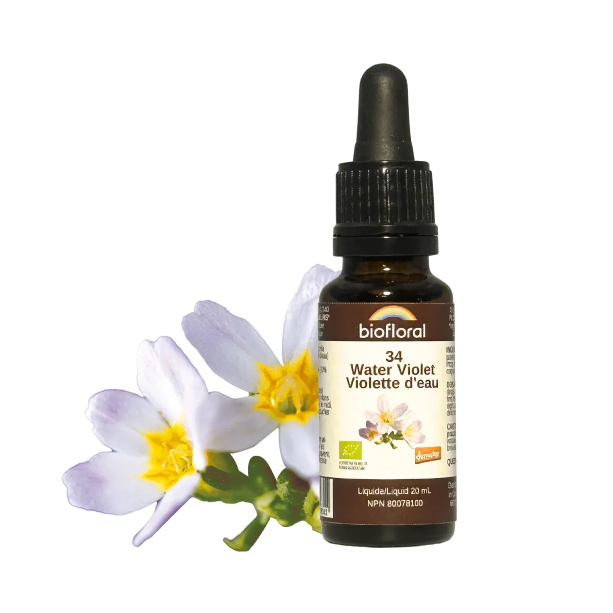 Violette d'eau - Saldi Straordinari – Offerte Speciali Disponibili Adesso - goutte eau